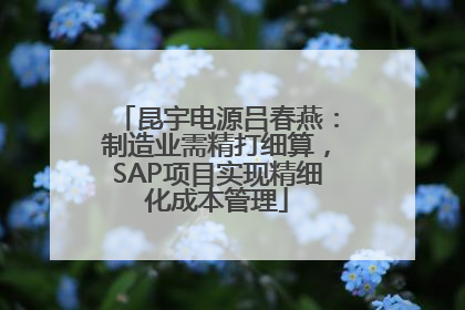 昆宇电源吕春燕：制造业需精打细算，SAP项目实现精细化成本管理