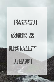 智造与开放赋能 岳阳新质生产力提速