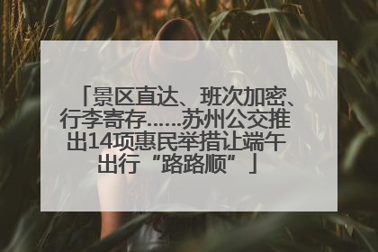 景区直达、班次加密、行李寄存……苏州公交推出14项惠民举措让端午出行“路路顺”
