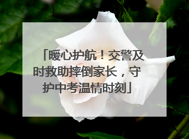 暖心护航！交警及时救助摔倒家长，守护中考温情时刻
