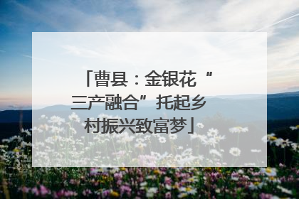 曹县：金银花“三产融合”托起乡村振兴致富梦