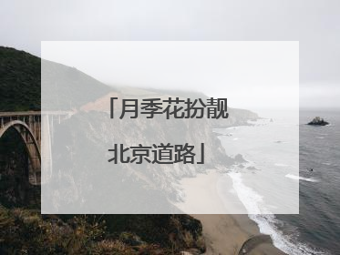 月季花扮靓北京道路