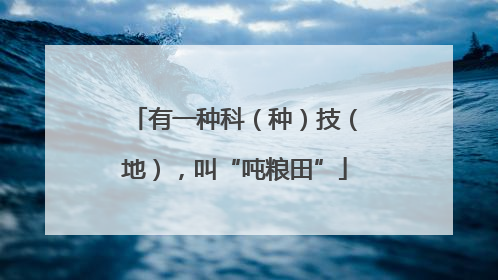 有一种科（种）技（地），叫“吨粮田”