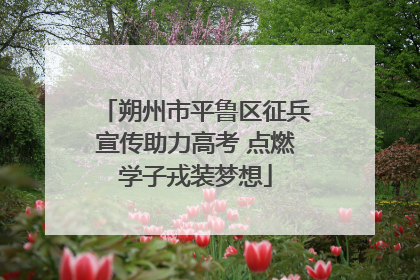 朔州市平鲁区征兵宣传助力高考 点燃学子戎装梦想