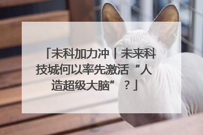 未科加力冲丨未来科技城何以率先激活“人造超级大脑”？