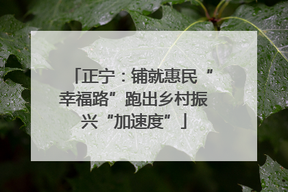 正宁：铺就惠民“幸福路”跑出乡村振兴“加速度”