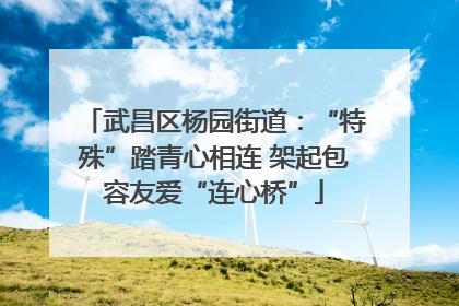 武昌区杨园街道：“特殊”踏青心相连 架起包容友爱“连心桥”