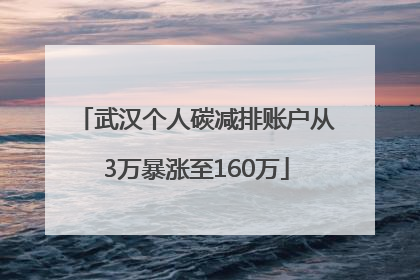 武汉个人碳减排账户从3万暴涨至160万