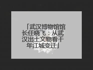 武汉博物馆馆长任晓飞：从武汉出土文物看千年江城变迁