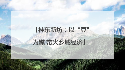桂东新坊：以“豆”为媒 带火乡域经济