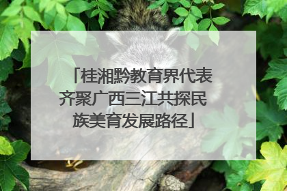 桂湘黔教育界代表齐聚广西三江共探民族美育发展路径