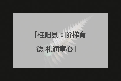 桂阳县：阶梯育德 礼润童心
