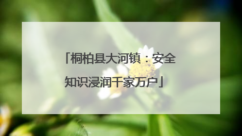 桐柏县大河镇：安全知识浸润千家万户