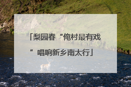梨园春“俺村最有戏”唱响新乡南太行