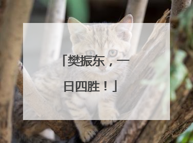 樊振东，一日四胜！
