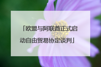 欧盟与阿联酋正式启动自由贸易协定谈判