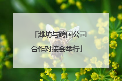 潍坊与跨国公司合作对接会举行