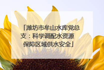 潍坊市牟山水库党总支：科学调配水资源 保障区域供水安全