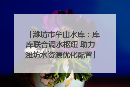 潍坊市牟山水库：库库联合调水枢纽 助力潍坊水资源优化配置