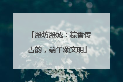 潍坊潍城：粽香传古韵，端午颂文明