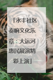 永丰社区奏响文化乐章：大运河惠民展演精彩上演