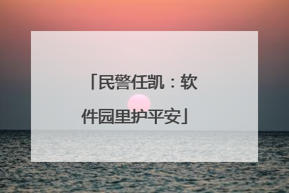 民警任凯：软件园里护平安