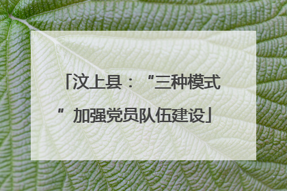 汶上县：“三种模式”加强党员队伍建设