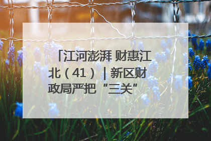 江河澎湃 财惠江北（41）｜新区财政局严把“三关” 绘就“良田美景”