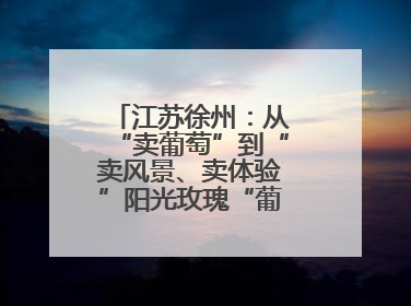 江苏徐州：从“卖葡萄”到“卖风景、卖体验”阳光玫瑰“葡”就致富路