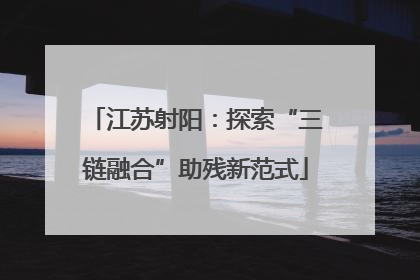 江苏射阳：探索“三链融合”助残新范式