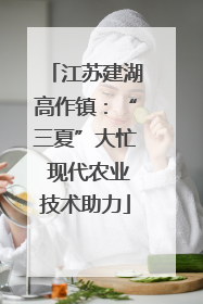 江苏建湖高作镇：“三夏”大忙 现代农业技术助力