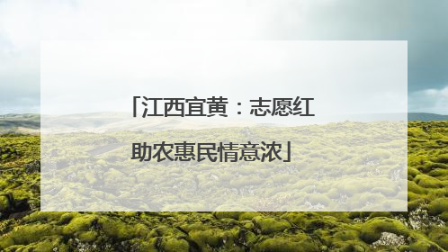 江西宜黄：志愿红助农惠民情意浓