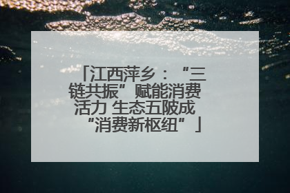 江西萍乡：“三链共振”赋能消费活力 生态五陂成“消费新枢纽”