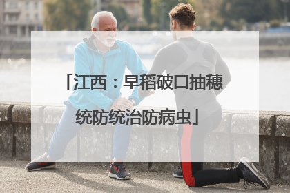 江西：早稻破口抽穗 统防统治防病虫