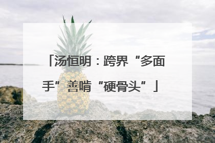 汤恒明：跨界“多面手”善啃“硬骨头”