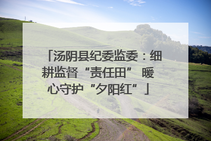 汤阴县纪委监委：细耕监督“责任田” 暖心守护“夕阳红”