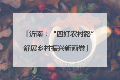 沂南：“四好农村路”舒展乡村振兴新画卷