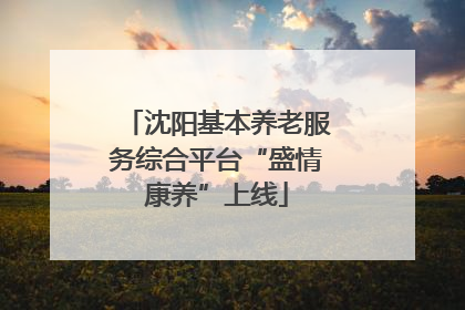 沈阳基本养老服务综合平台“盛情康养”上线
