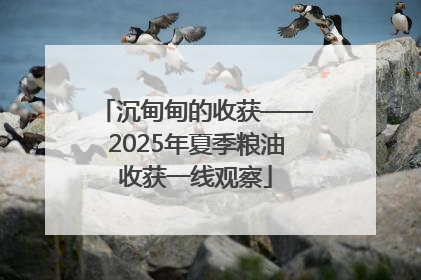 沉甸甸的收获——2025年夏季粮油收获一线观察