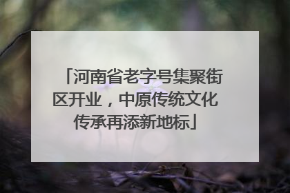 河南省老字号集聚街区开业，中原传统文化传承再添新地标