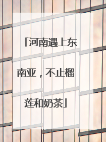 河南遇上东南亚，不止榴莲和奶茶