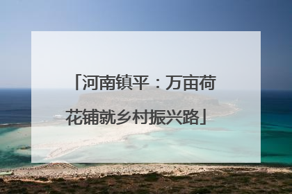 河南镇平：万亩荷花铺就乡村振兴路