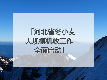 河北省冬小麦大规模机收工作全面启动