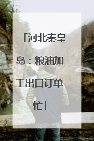河北秦皇岛：粮油加工出口订单忙