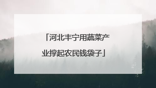 河北丰宁用蔬菜产业撑起农民钱袋子