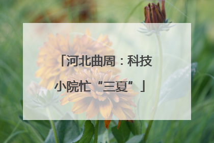 河北曲周：科技小院忙“三夏”