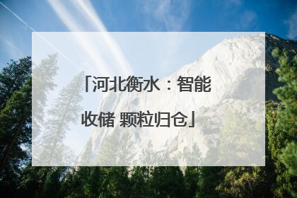河北衡水：智能收储 颗粒归仓