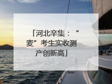 河北辛集：“麦”考生实收测产创新高