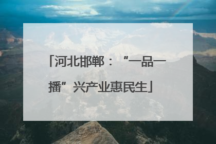 河北邯郸：“一品一播”兴产业惠民生