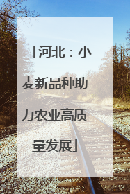 河北：小麦新品种助力农业高质量发展